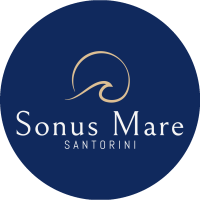 /customerDocs/images/avatars/67091/67091-ΠΑΡΑΘΑΛΑΣΣΙΑ ΔΙΑΜΕΡΙΜΣΑΤΑ-SONUS MARE-ΒΟΥΡΒΟΥΛΟΣ-VOURVOULOS-LOGO.png
